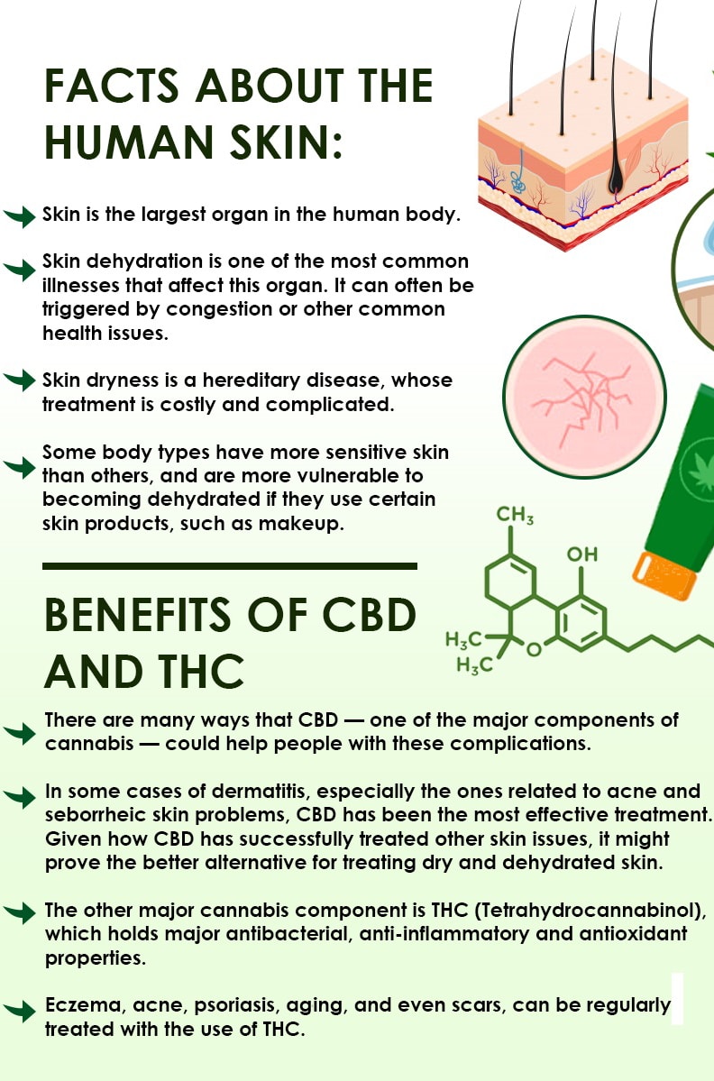 Skin, How Does Cannabis Benefit Your Skin?