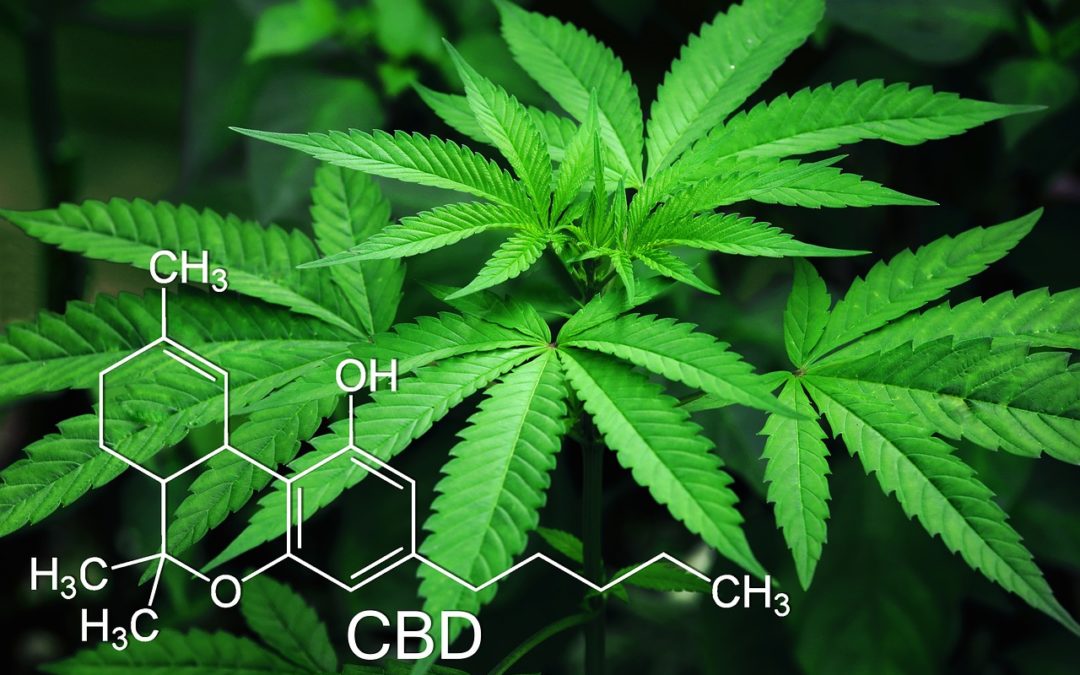 Finding the Best CBD Products For You
