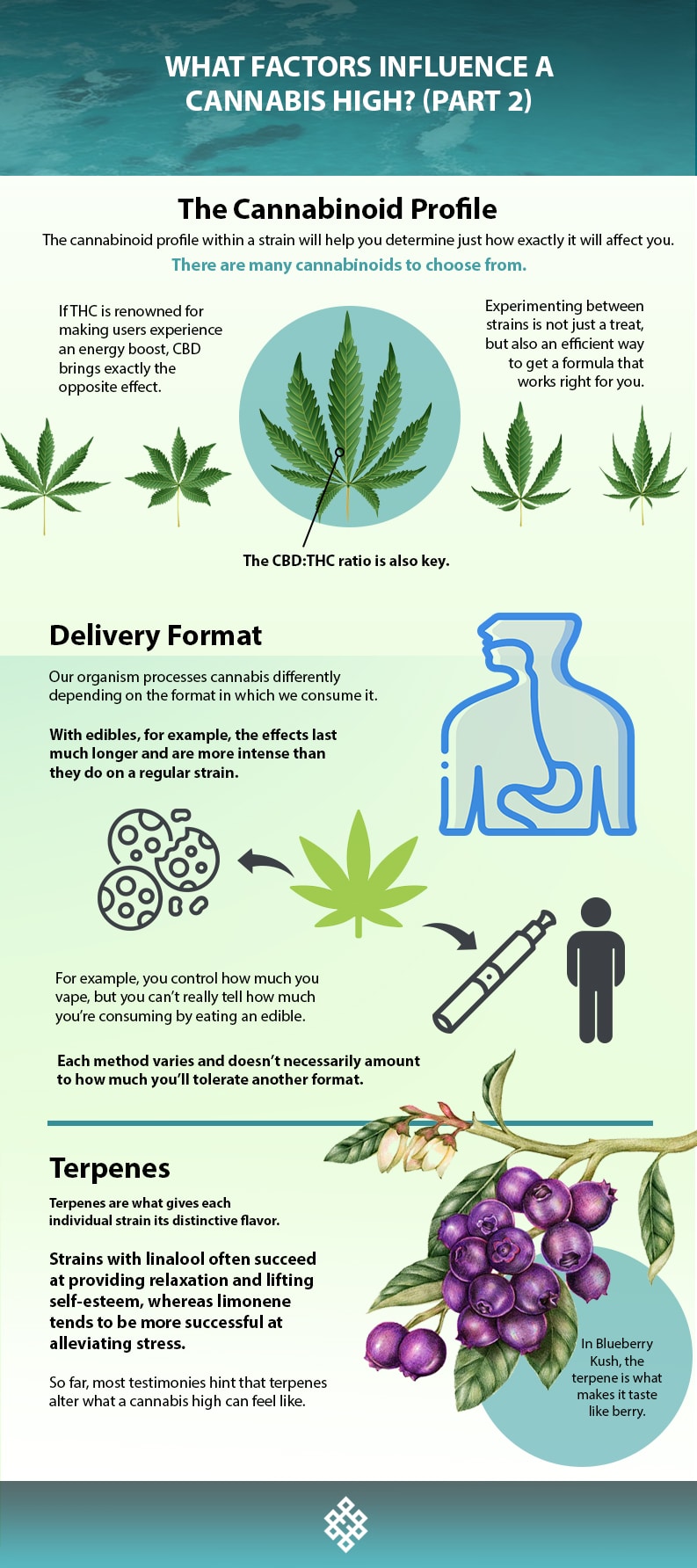 Factors, What Factors Influence A Cannabis High? (Part 2)
