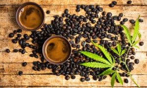 cannabis infused coffee, Cannabis Infused Coffee In The Morning