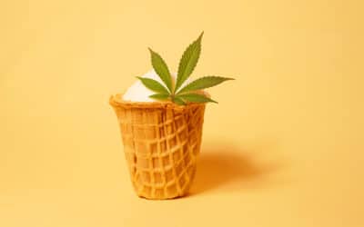 cannabis blog, Blog